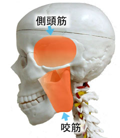 f5907057d115a5a2ada6d808d5d61e6b.jpg